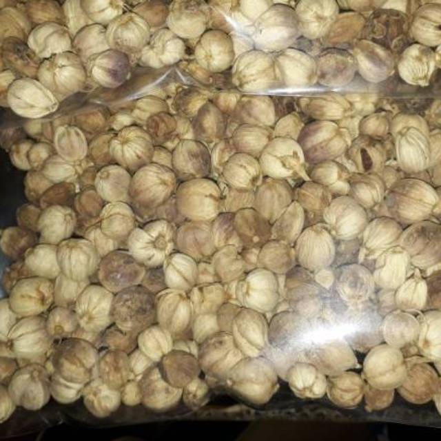 

KAPULAGA KAPULOGO 100 GRAM LOKAL JAWA TENGAH