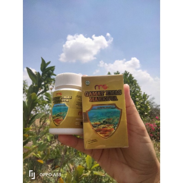 Gamat Teripang Emas New Herbal Obat Jantung, Lambung, Kanker, Diabetes dll BPOM 100% Ori/Mitra Resmi