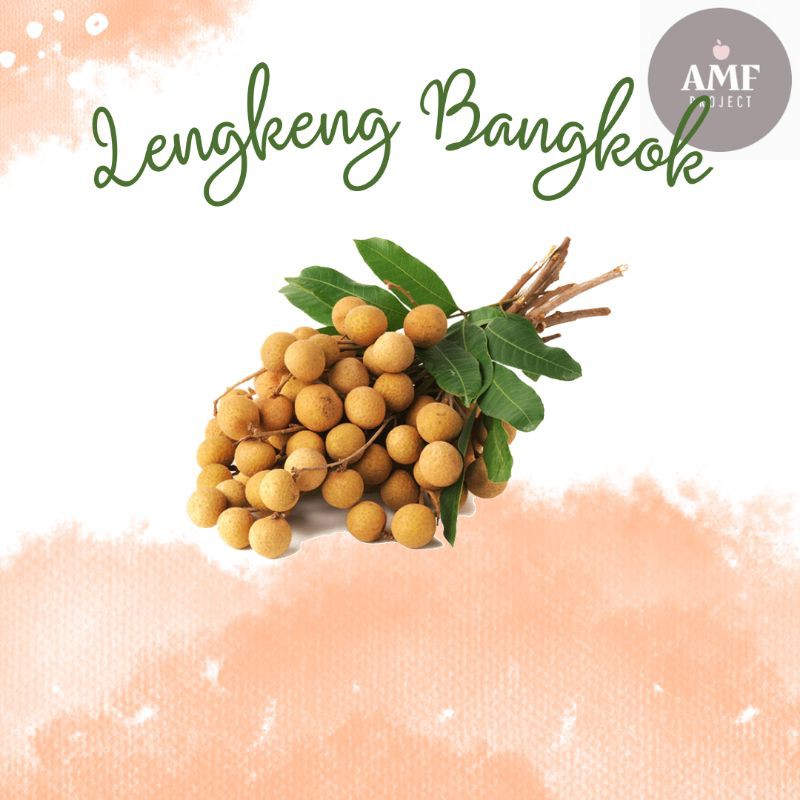

TERMURAH! LENGKENG BANGKOK 1KG