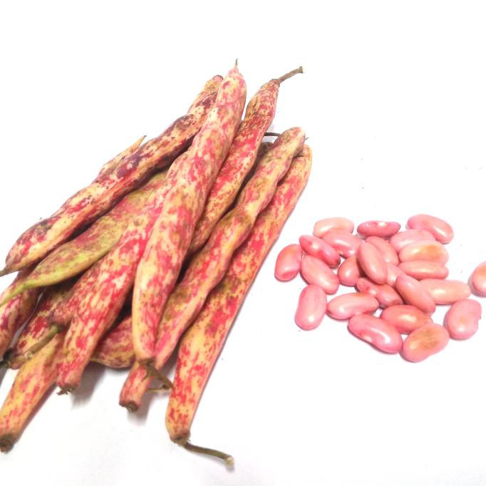 

Kacang Jaglo Merah/Kulit / 100Gram Dafa.Olshop