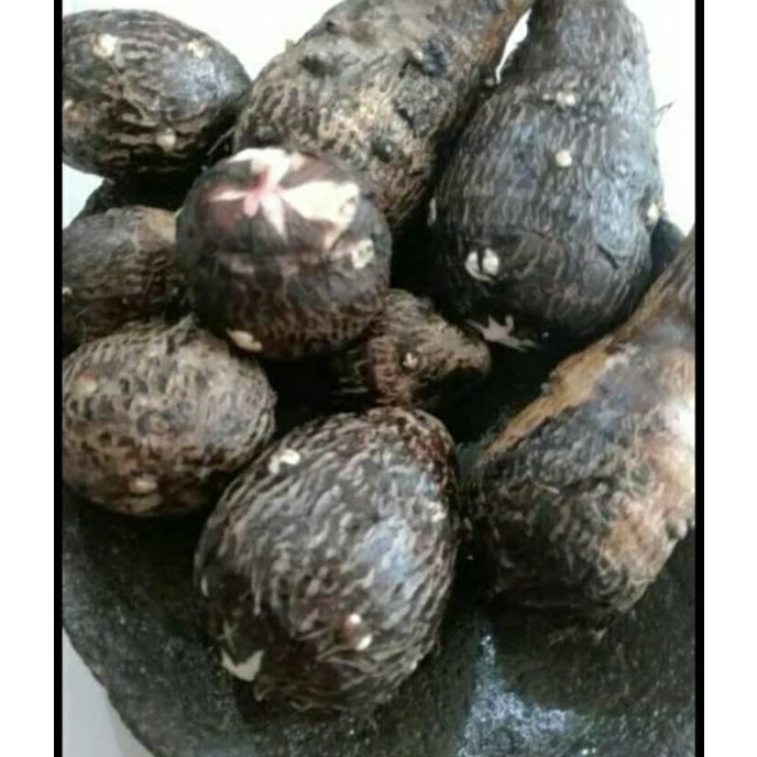 

TALAS/BUTHE 1kg bersih
