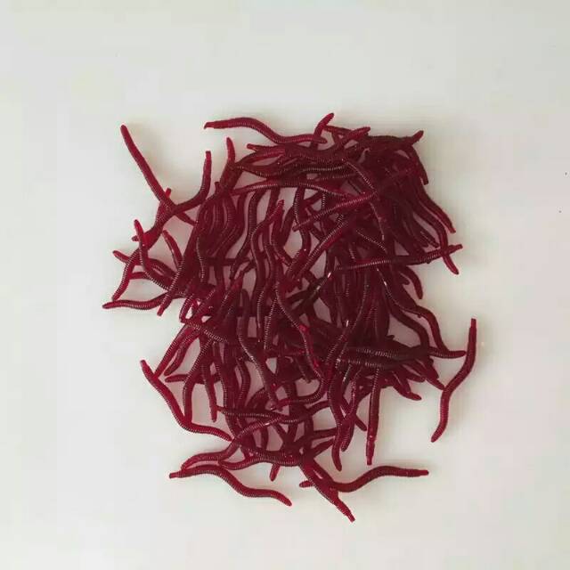 Umpan cacing pancing ikan 4cm soft lure fishing bait earthworm worm