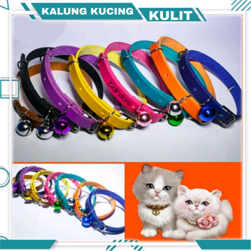 KALUNG KUCING KULIT PREMIUM