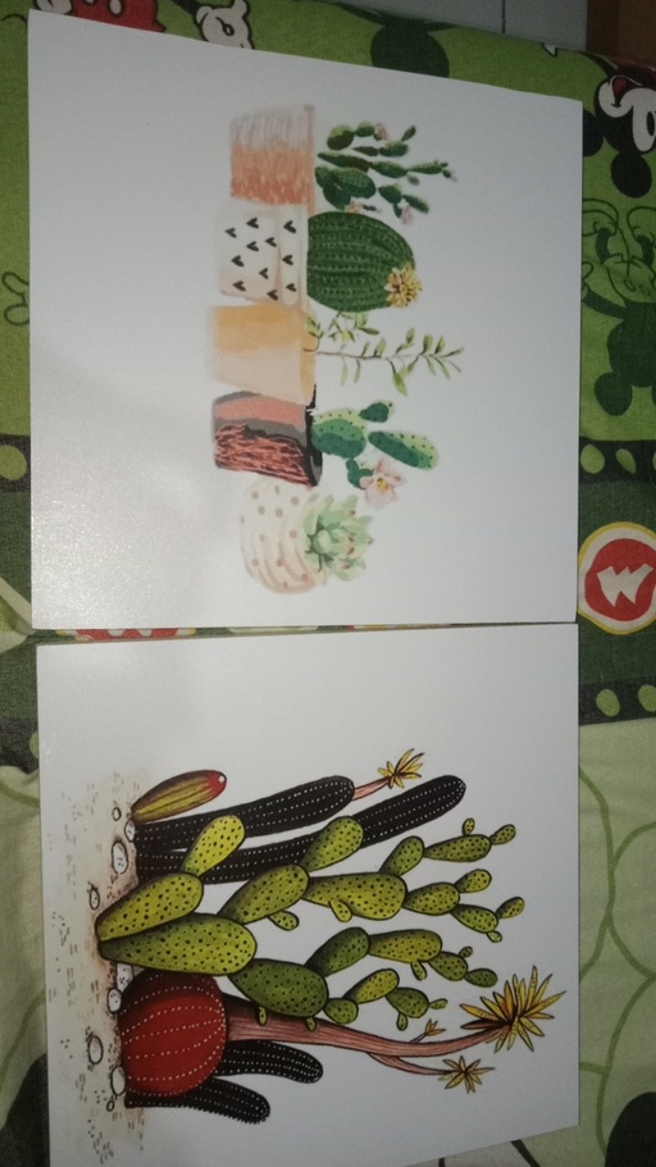 Wp Project Hiasan Dinding Walldecor Pajangan Dinding Shabby Chic Kaktus Succulents