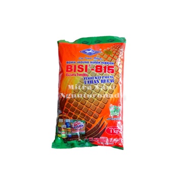 Benih Jagung Super Hibrida Bisi 816 Cap Kapal Terbang 1 Kg