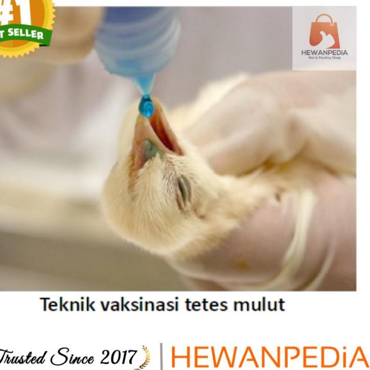 [KODE PRODUK 6PYNR58100] MEDIVAC ND IB MEDION - Vaksin Ayam Tetelo dan Infeksius Bronkitis Newcastle