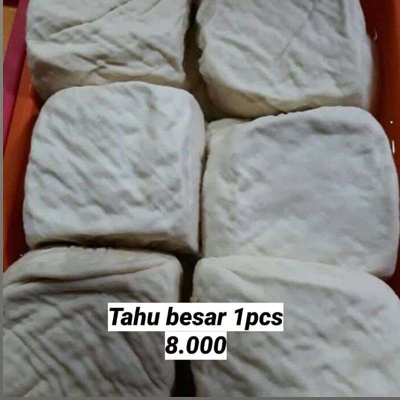 

Tahu putih besar