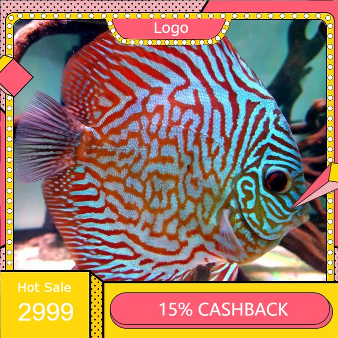 Ikan Discus Tiger Mozaik 1"inch // kan hias