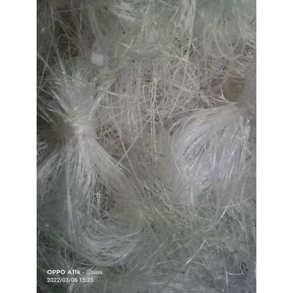 

mie soun