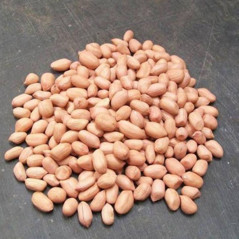 Kacang Tanah Putih / kacang India Putih (1.000 gram)