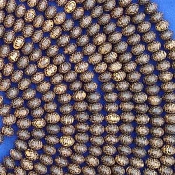 Tasbih 1000 butir kayu liwung by TUTUL Handicraft