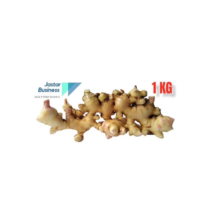 

JAHE SEGAR GRADE A (1 KG)