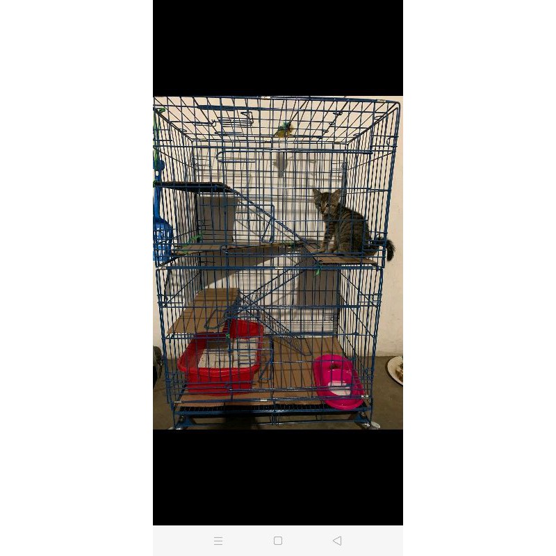 Kandang Kucing tk3 XL uk 110x75x50. bahan besi tebal-Ungu