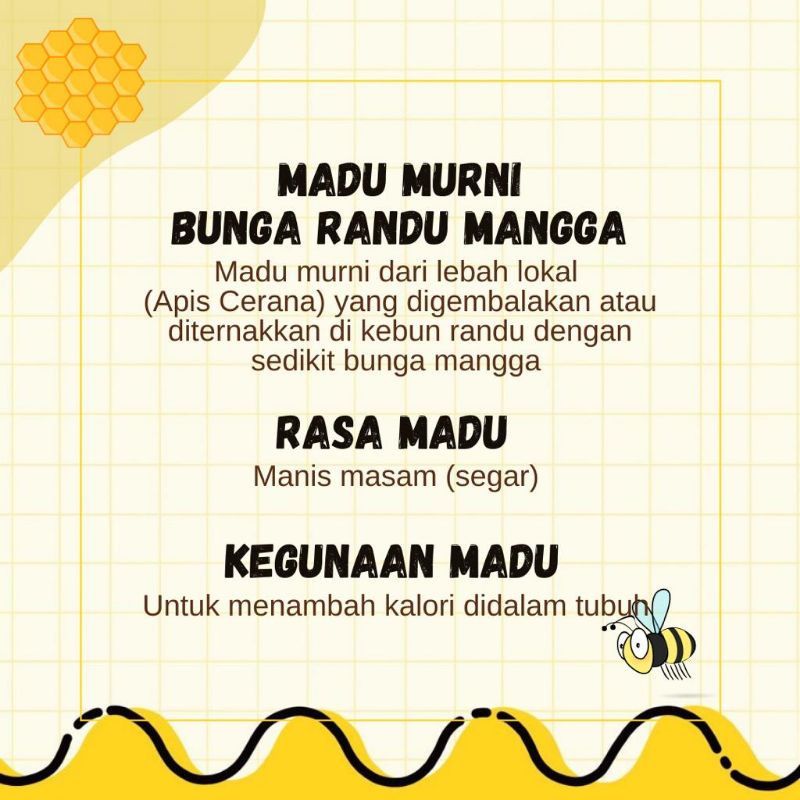 Olivoliv Snack Madu Murni Bunga Randu Mangga 100% Original- Peternakantawon Rimba Raya 600 Ml