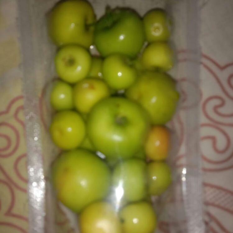 

buah bidara arab asli fresh langsung di petik isi 35 buah ➶➠ ☈ ☈