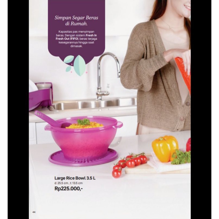 tempat nasi tupperware