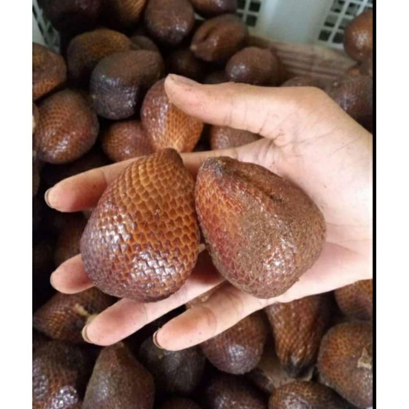 

buah segar salak magelang manis