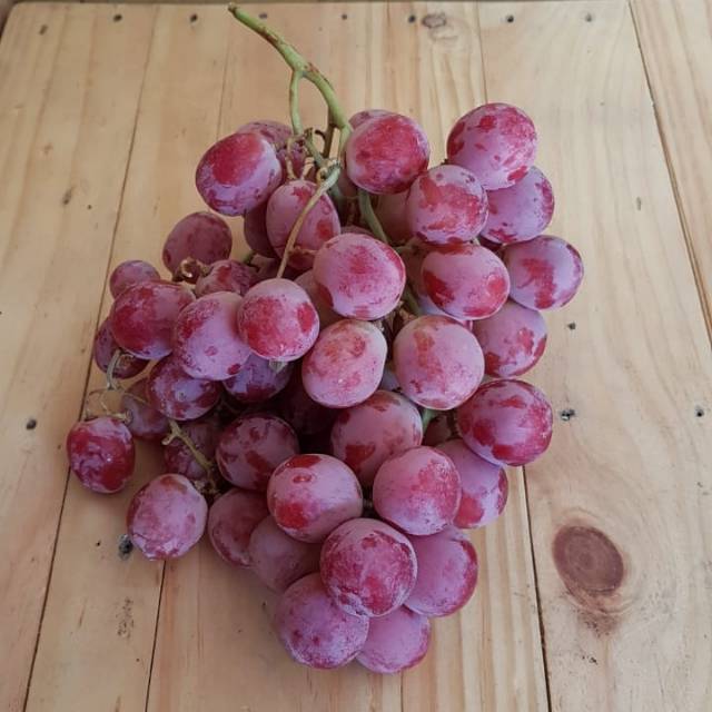 

anggur merah fresh red grapes import per 500 gram