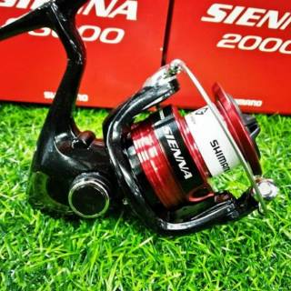 Reel Shimano Sienna 19 C3000 2500HG 4000FG 2000 2500 1000