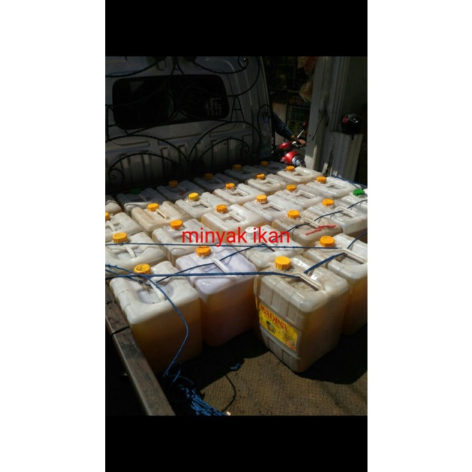 ] Minyak ikan curah