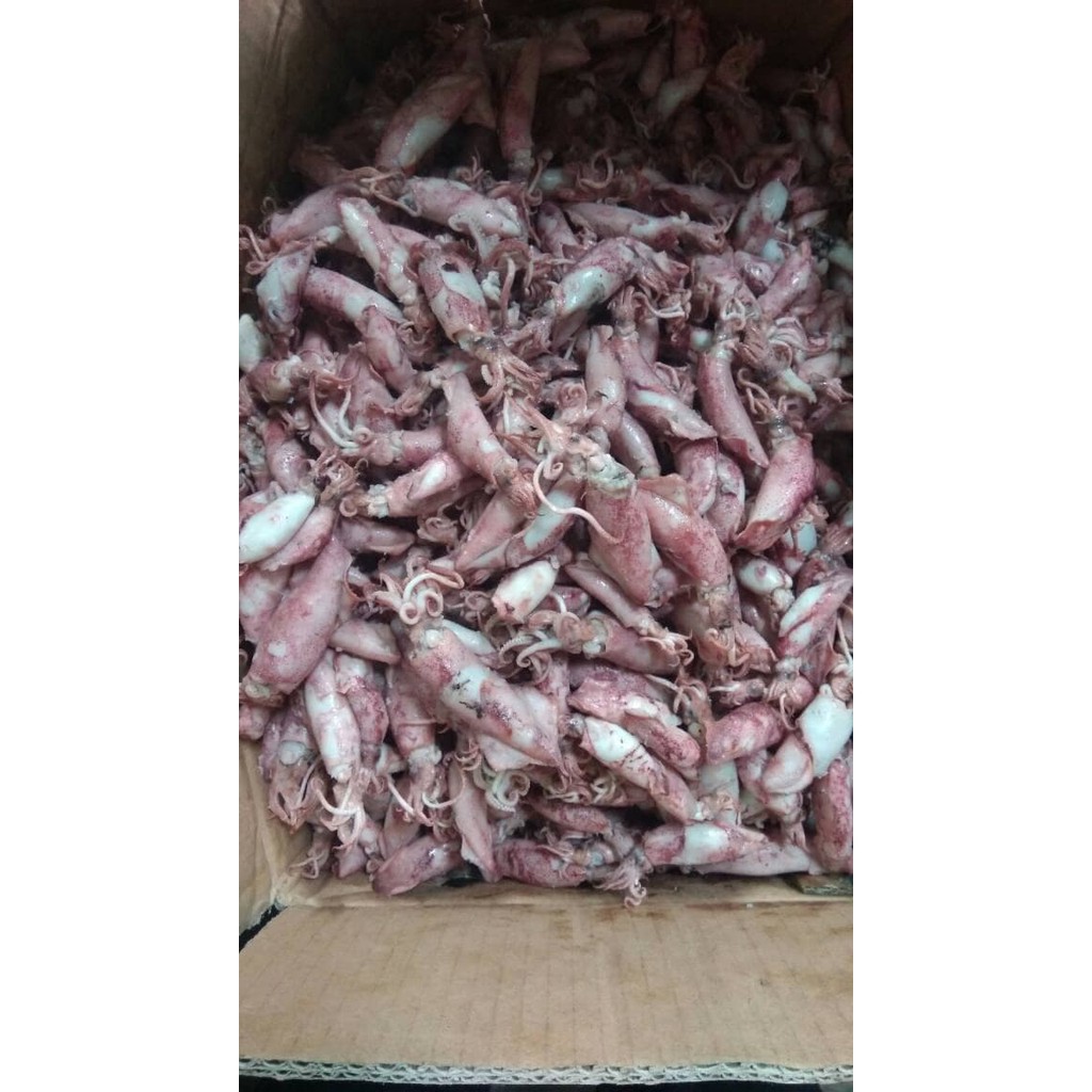 

ikan asin sotong bk