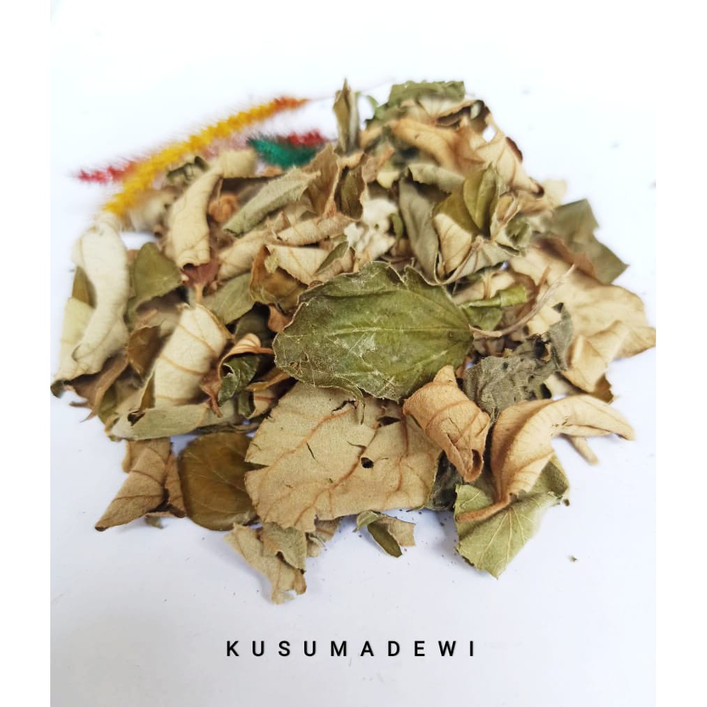 

Daun Bidara Kering / Epal Siam / Bukol 50 gram