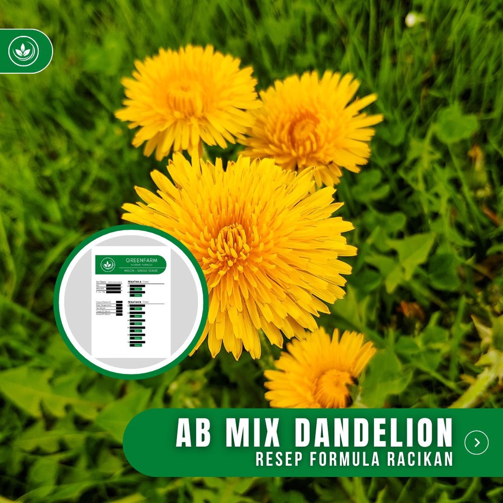 Resep AB Mix Dandelion Formula Racikan Nutrisi Bunga Dandelion