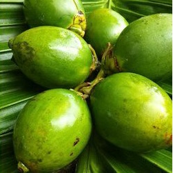 

Buah pinang muda (jambe)