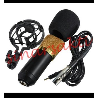 Mic Recording PS 608 + Hardcase