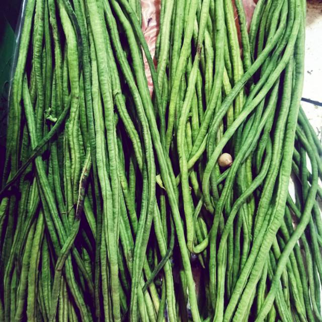 

Kacang panjang