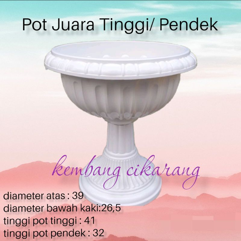 POT JUARA TINGGI atau PENDEK pot bunga shallom juara leher tinggi atau pendek tebal bagus