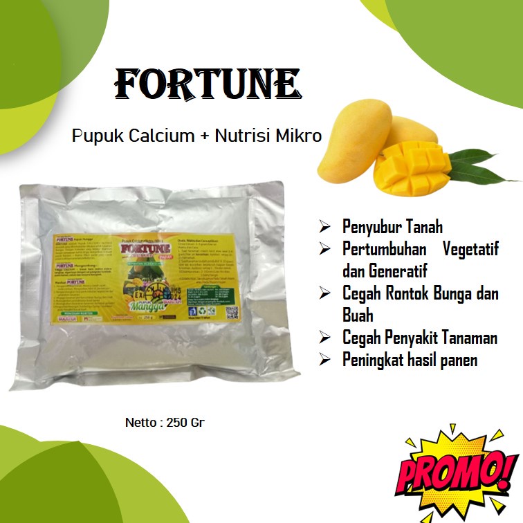 BOOSTER MANGGA Pupuk Tabulampot Mangga (250 gr)