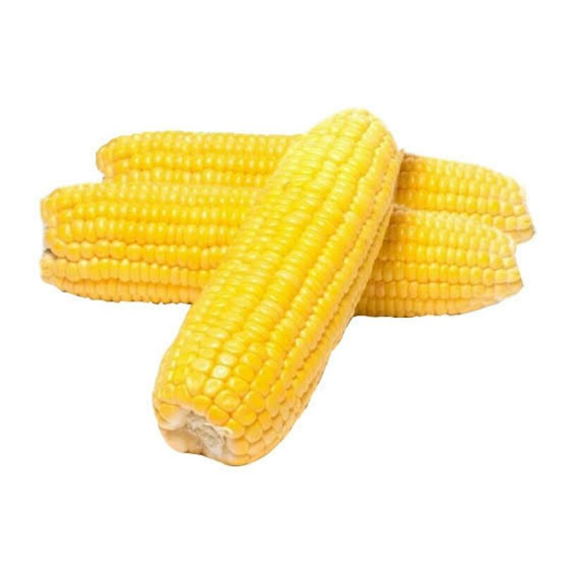 

Jagung Manis Kupas Segar 1kg
