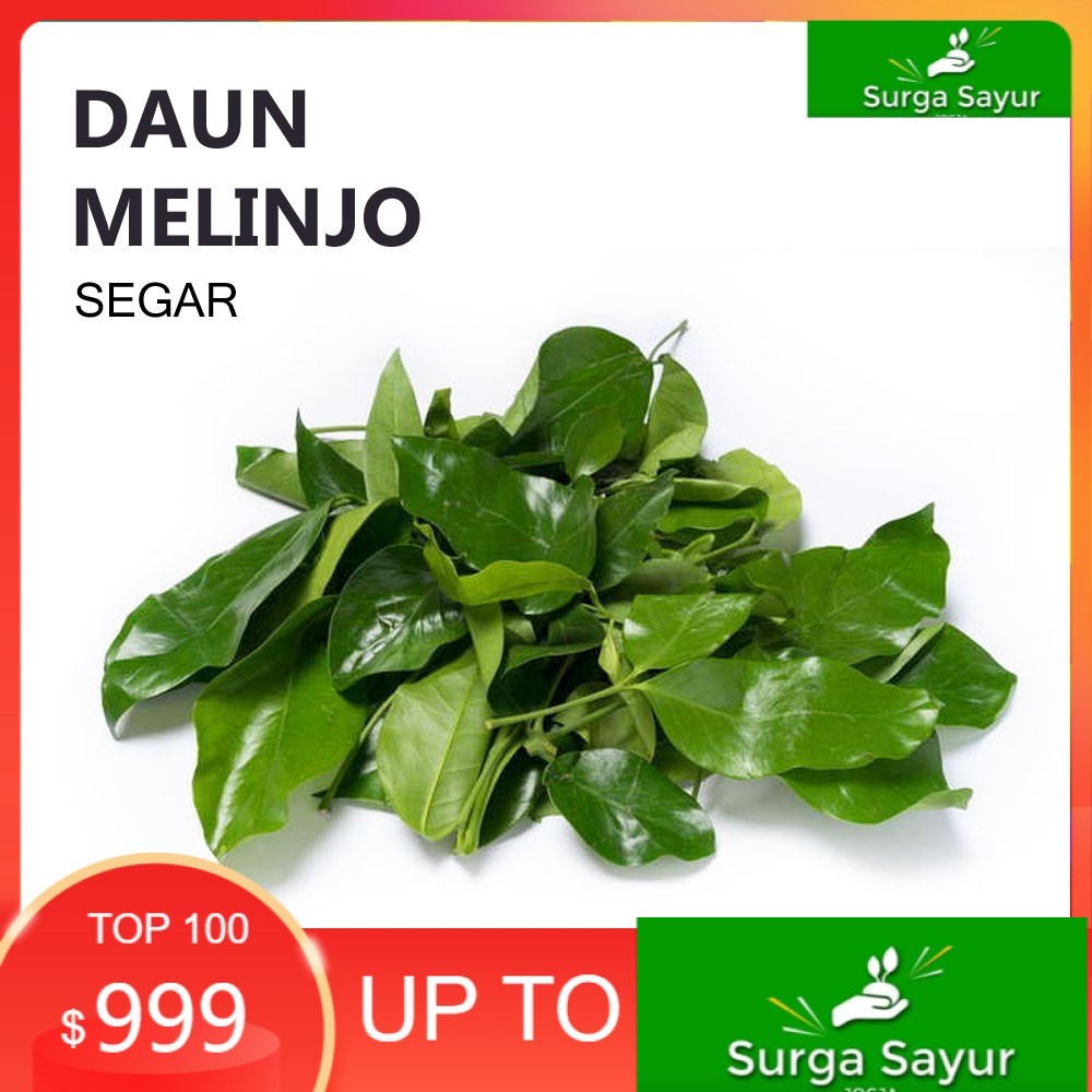 

SURGA SAYUR DAUN MELINJO SAYUR [50g] SEJABODETABEK BISA INSTANT MENGGUNAKAN GOSEND &GRAB.