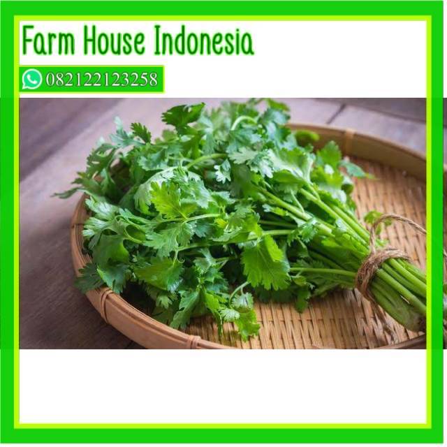 

Perfect Vegetables Daun ketumbar / wansui per ikat