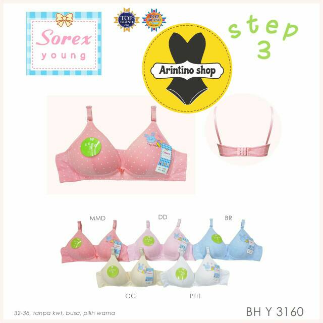Bh Remaja Sorex