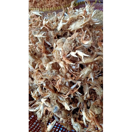 

Baby Crab Pangandaran