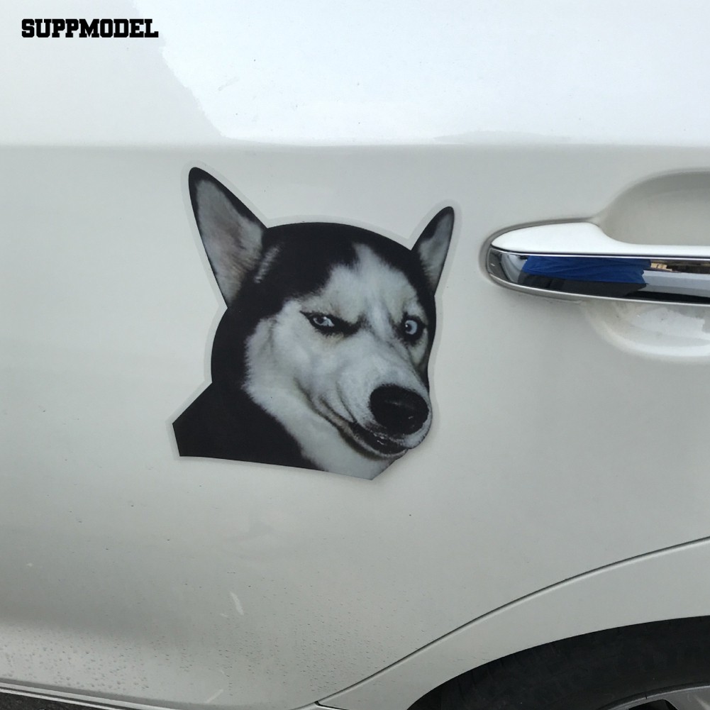 Stiker Decal Gambar Anjing Husky Shopee Indonesia