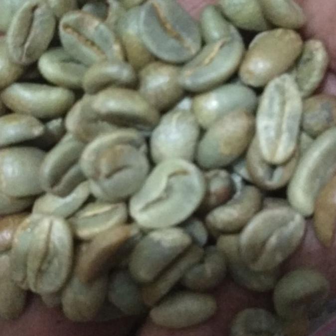 

greenbean biji kopi arabika Papua yahukimo