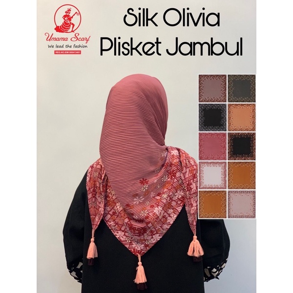 Segi empat plisket motif