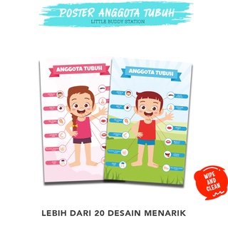 Jual Poster Anggota Tubuh Badan Anak Gambar Poster Edukasi Anak Poster ...