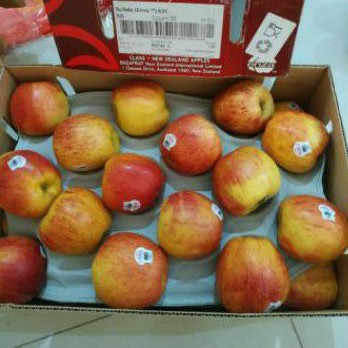 

Buah Apel Envy Jumbo New Zealand Fresh / 1 Dus / 10kg