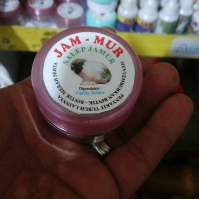 

Salep jamur
