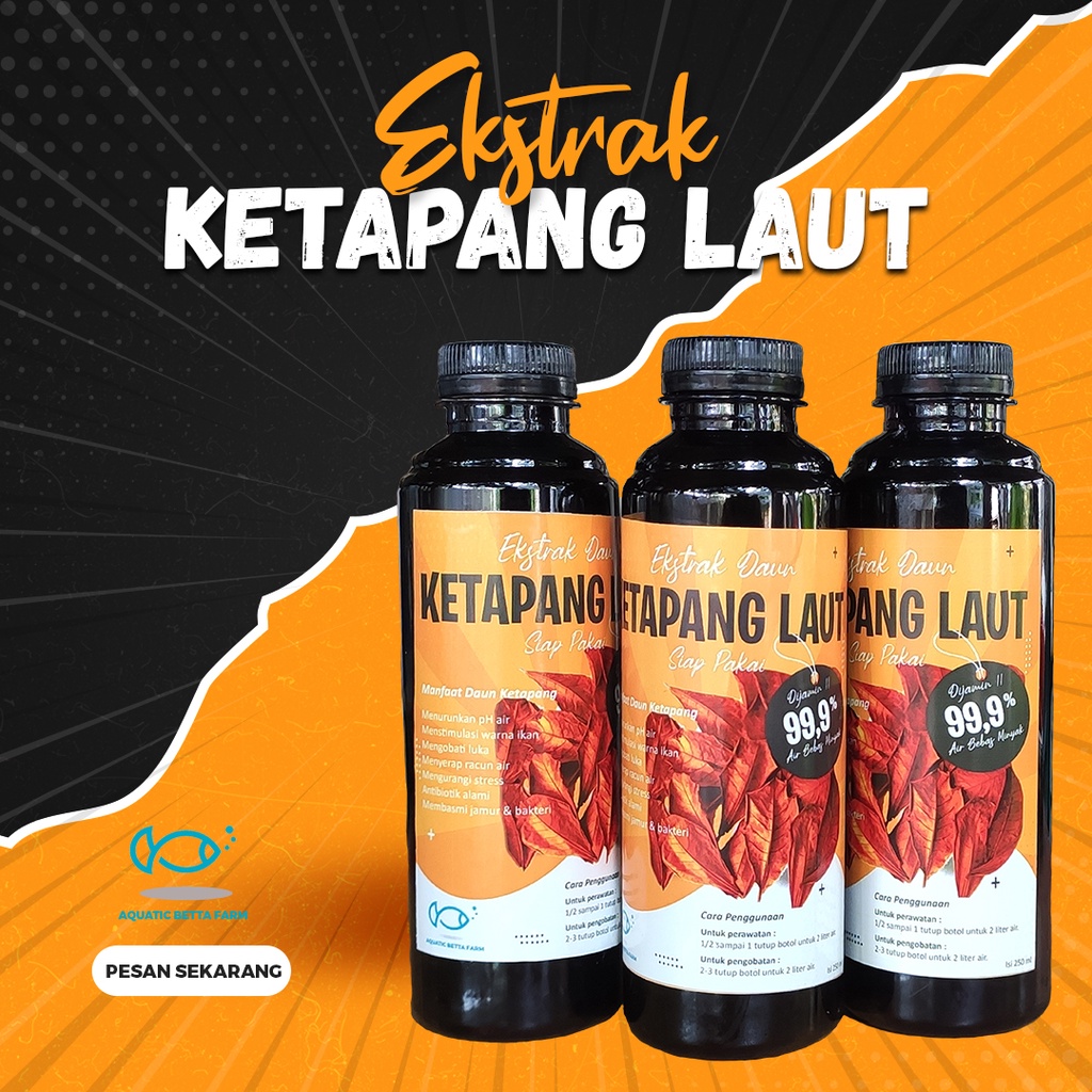 Daun Ketapang Ekstrak Siap Pakai | Ekstrak Ketapang