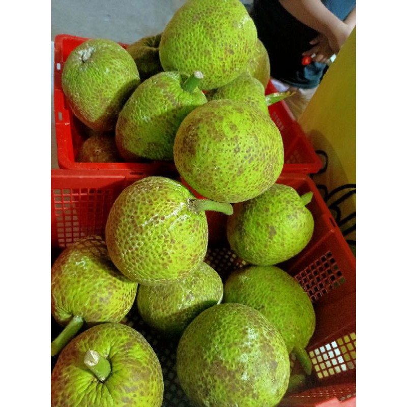

SUKUN
