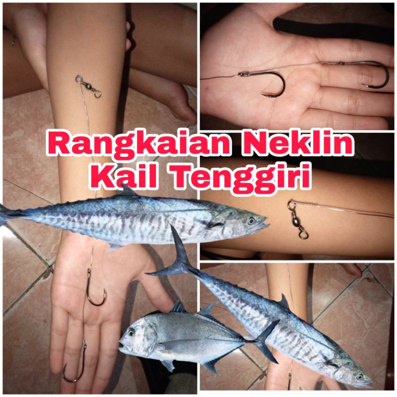 Rangkaian Pancing Tenggiri dan Baracuda