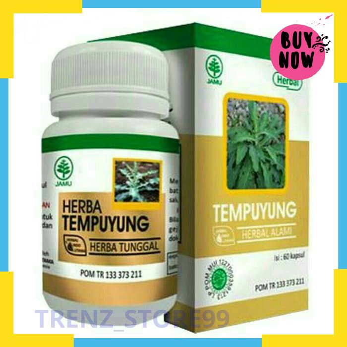 Murah Kapsul Tempuyung HIU mengatasi penyakit Batu Ginjal dan Batu Empedu Keren