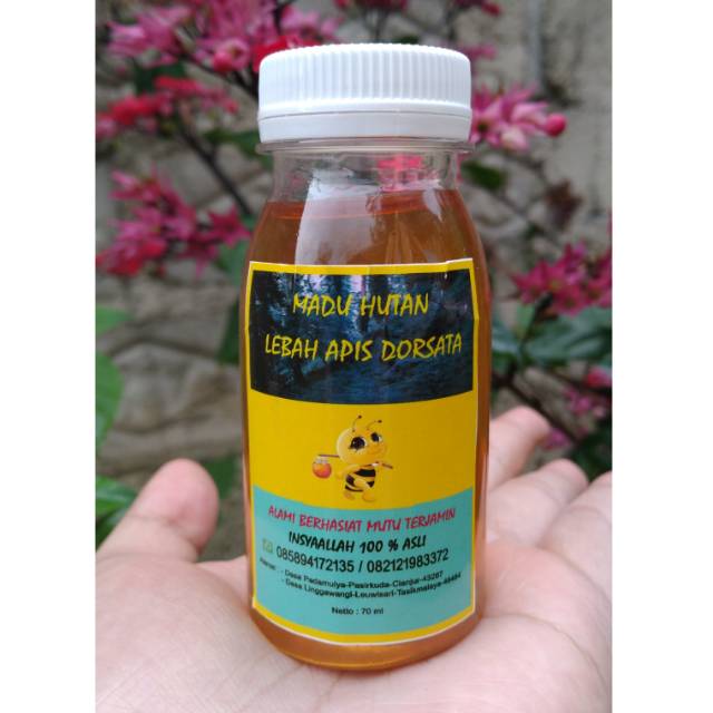 

Madu asli hutan