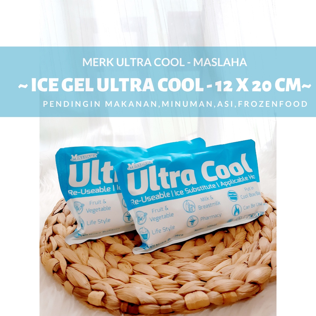 PENGGANTI BIANG ES  / ICE GEL FREEZER / ES BATU GEL ICE GEL YANG TAHAN LAMA / BLUE ICE GEL / JUAL BL