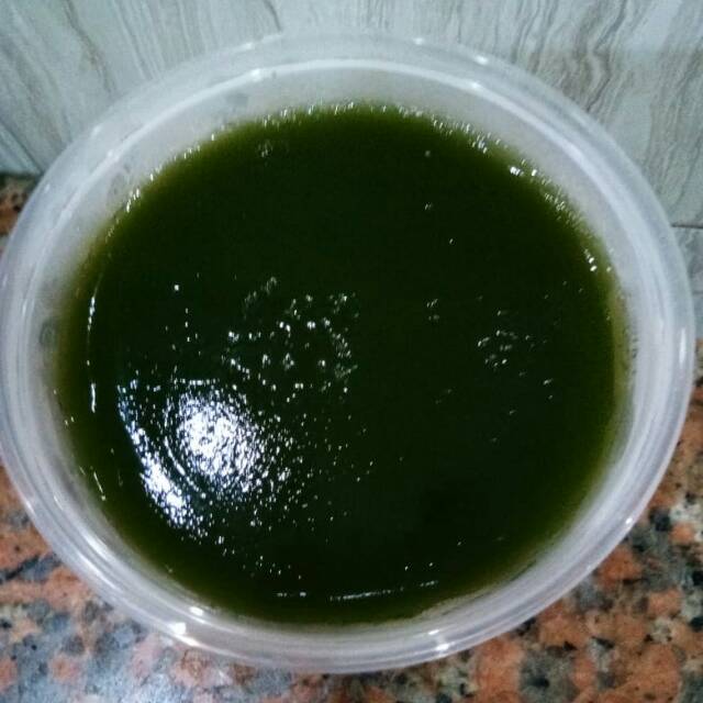 

Cincau hijau alami sehat